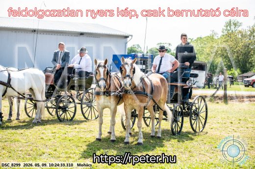 Mintakép 20260509-30