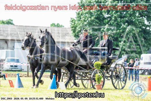 Mintakép 20260509-34