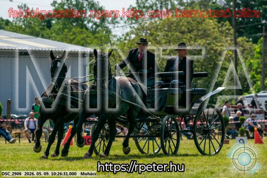 Mintakép 20260509-36