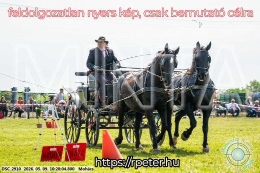 Mintakép 20260509-39