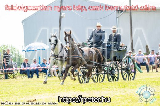 Mintakép 20260509-40