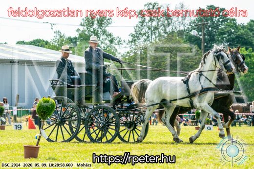 Mintakép 20260509-41