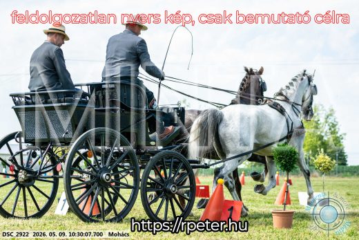 Mintakép 20260509-45