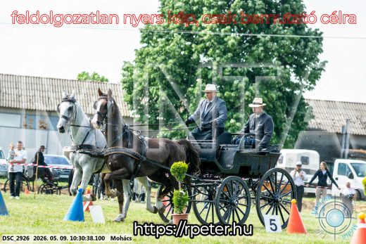 Mintakép 20260509-47