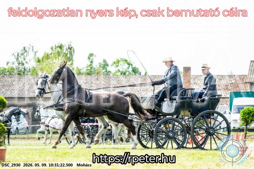 Mintakép 20260509-48