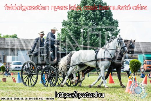 Mintakép 20260509-53