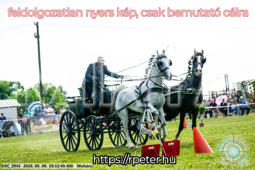 Mintakép 20260509-59