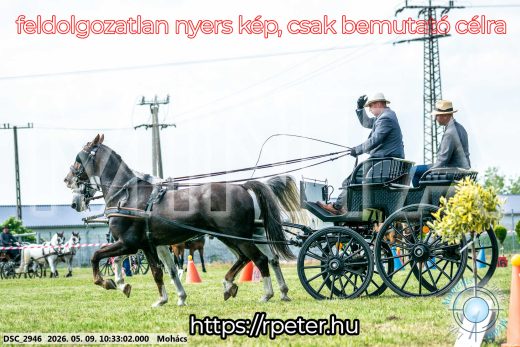 Mintakép 20260509-61