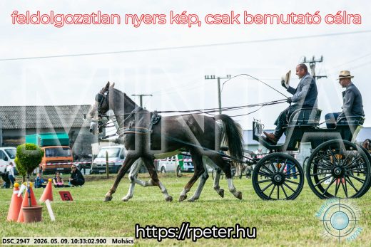 Mintakép 20260509-62