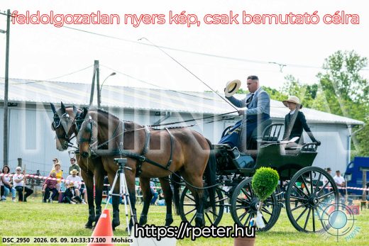 Mintakép 20260509-64