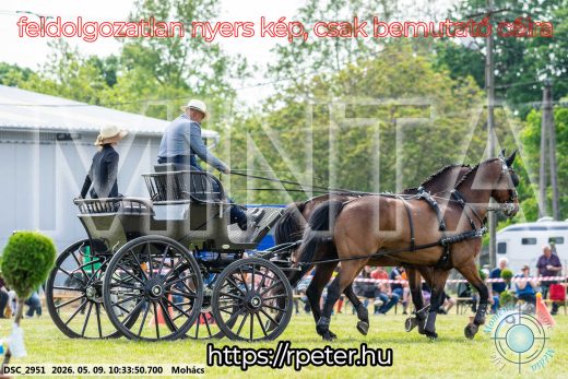 Mintakép 20260509-65