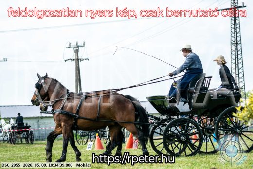 Mintakép 20260509-68