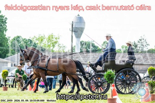 Mintakép 20260509-71