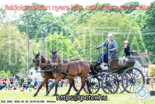 Mintakép 20260509-73