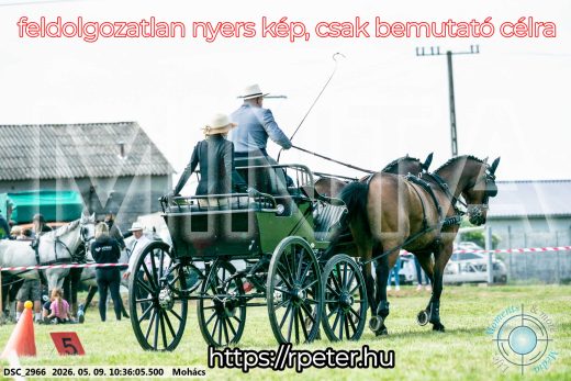 Mintakép 20260509-74