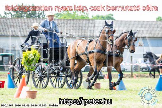 Mintakép 20260509-75