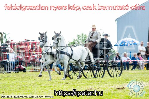 Mintakép 20260509-79