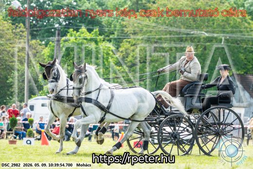 Mintakép 20260509-83