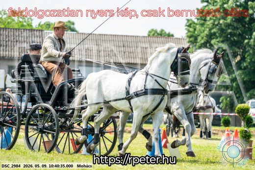 Mintakép 20260509-85