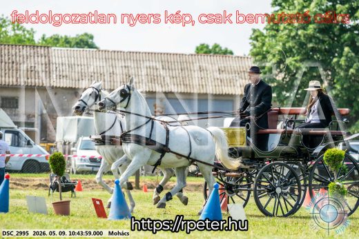 Mintakép 20260509-93