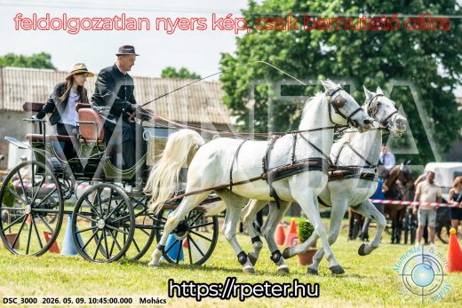 Mintakép 20260509-97