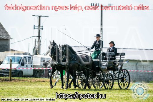 Mintakép 20260509-99