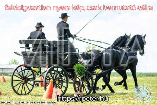 Mintakép 20260509-102