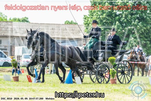 Mintakép 20260509-103