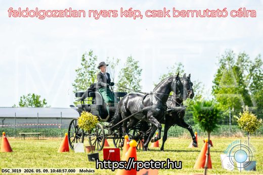 Mintakép 20260509-105