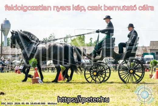 Mintakép 20260509-109