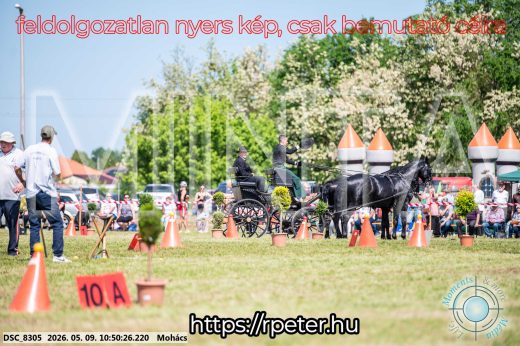 Mintakép 20260509-113