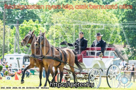 Mintakép 20260509-114