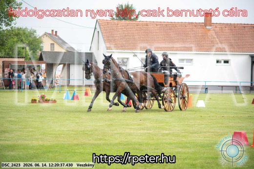 Mintakép 20260614-241