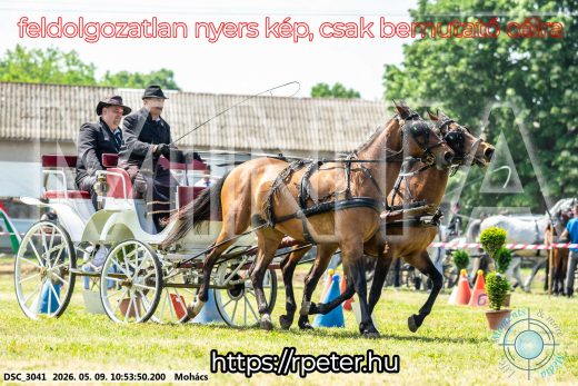 Mintakép 20260509-121