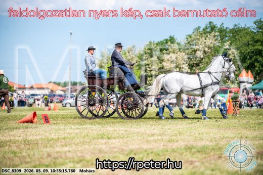Mintakép 20260509-124