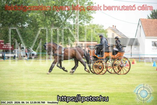 Mintakép 20260614-242