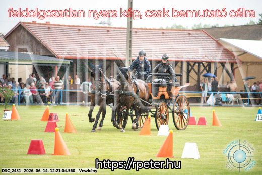 Mintakép 20260614-243