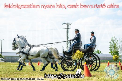 Mintakép 20260509-143
