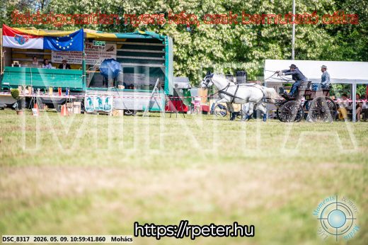 Mintakép 20260509-148
