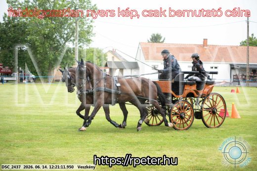 Mintakép 20260614-244