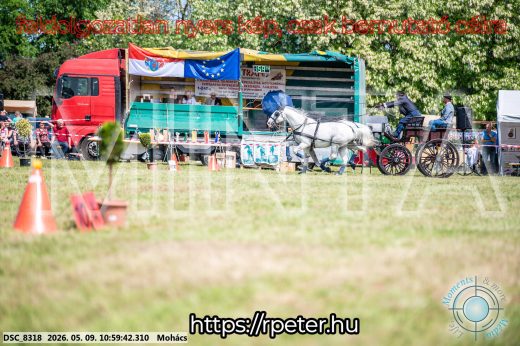 Mintakép 20260509-149