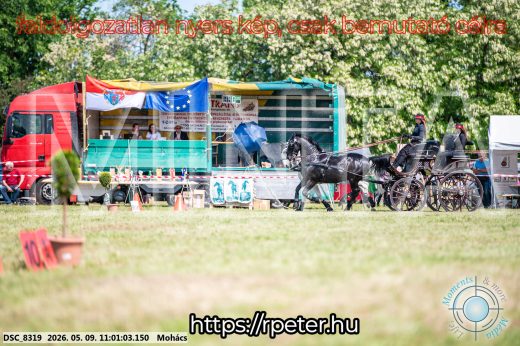 Mintakép 20260509-155