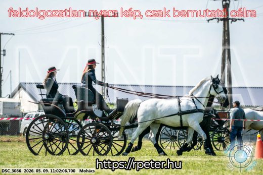 Mintakép 20260509-166