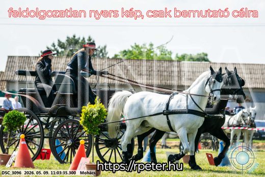 Mintakép 20260509-169