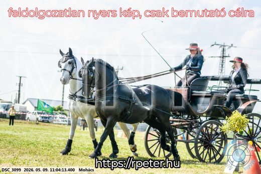 Mintakép 20260509-172