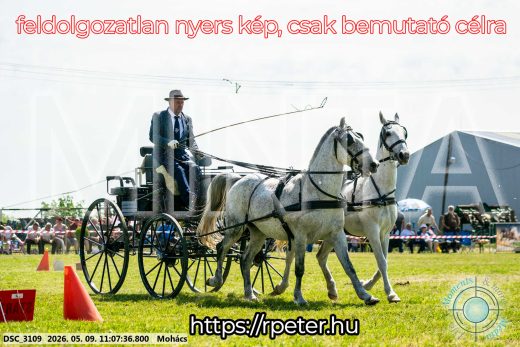 Mintakép 20260509-177