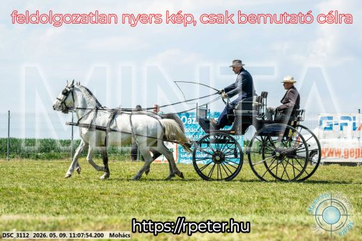 Mintakép 20260509-179