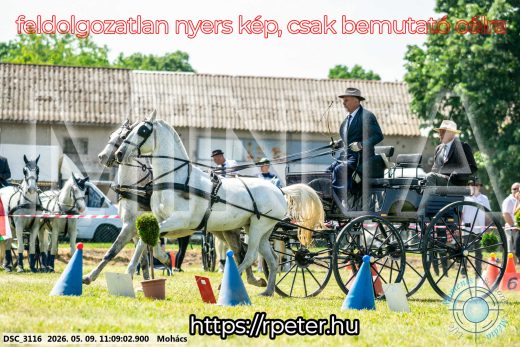 Mintakép 20260509-180
