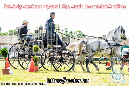 Mintakép 20260509-183
