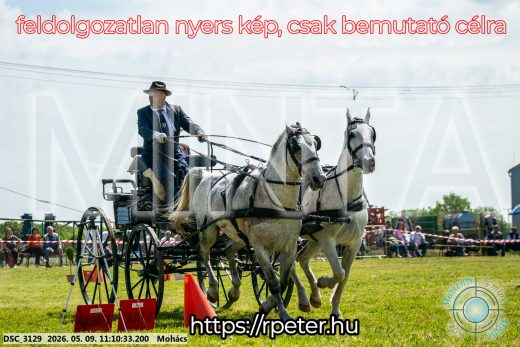 Mintakép 20260509-189